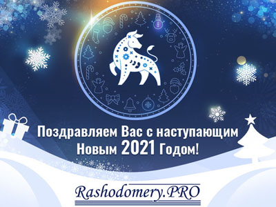 Поздравляем с наступающим Новым 2021 годом!